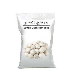 بذر قارچ دکمه ای یک کیلوگرمی